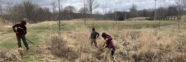 Participants in a field during a Green Infrastructure tour